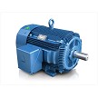 Hyundai Electric TEFC Cast Iron T Frame Motor 