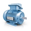 Hyundai Electric  IEEE841 Motor 